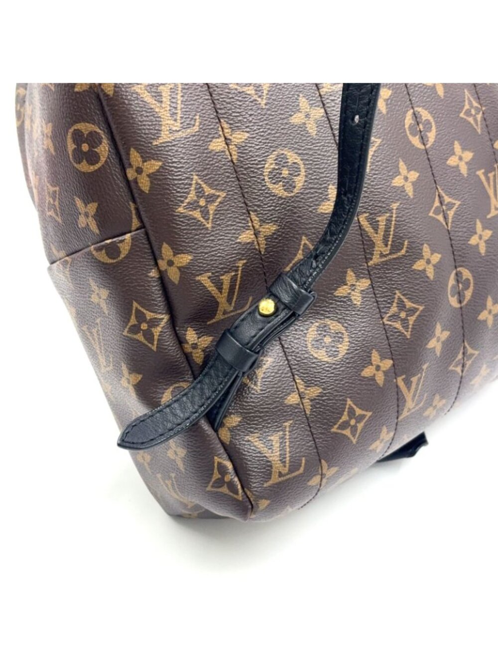 Louis Vuitton Palm Springs Backpack MM Monogram Leather Brown Gold - Picture 14 of 15